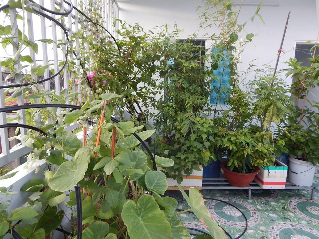 Homestay 37 Ad Πόλη Χο Τσι Μινχ Εξωτερικό φωτογραφία